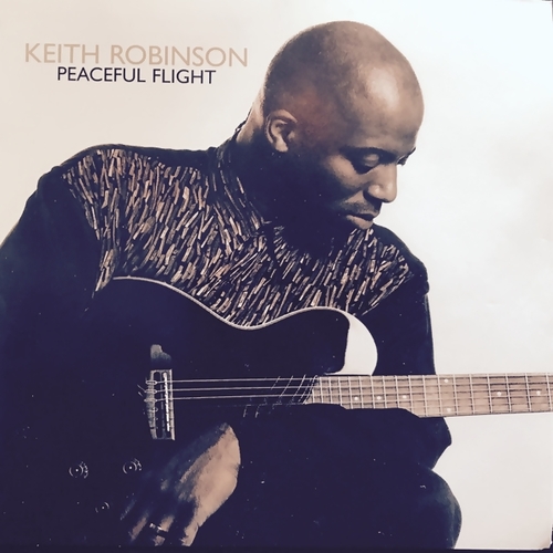 Peaceful Flight Cover Art Blurred Background