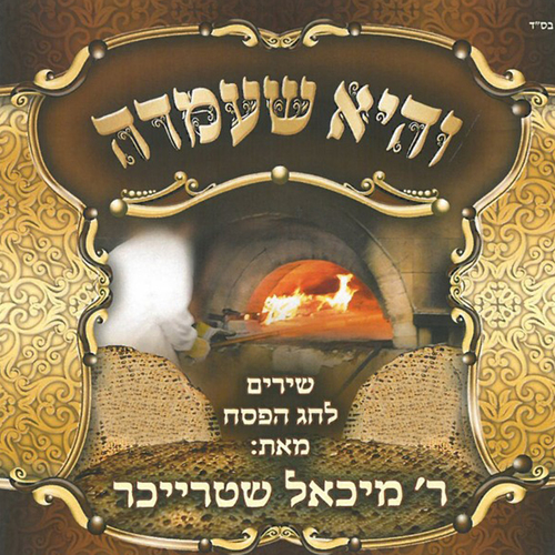 והיא שעמדה Cover Art Blurred Background