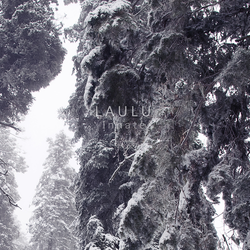 Innate Cover Art Blurred Background