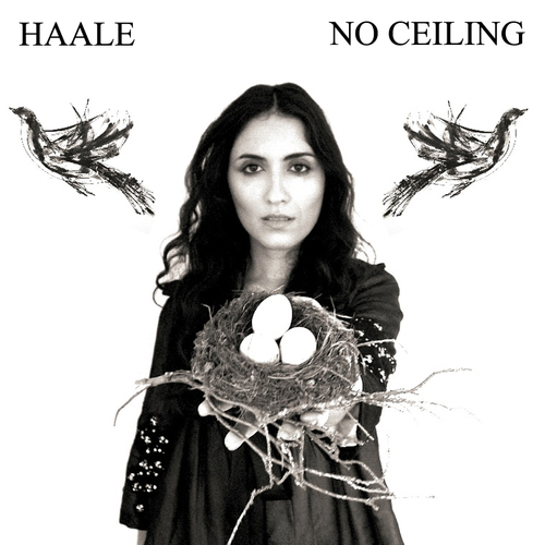 No Ceiling Cover Art Blurred Background