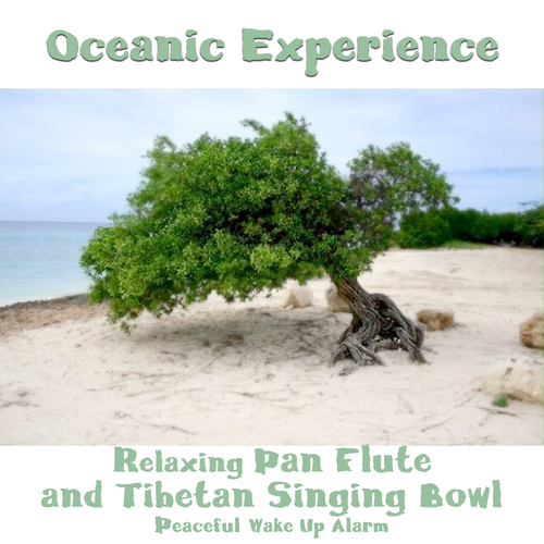 Relaxing Pan Flute and Tibetan Singing Bowl Peaceful Wake Up Alarm Cover Art Blurred Background