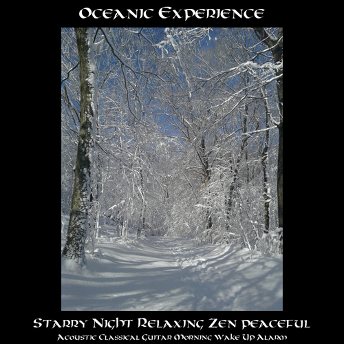 Starry Night Relaxing Zen Peaceful Acoustic Classical Guitar Morning Wake Up Alarm Cover Art Blurred Background