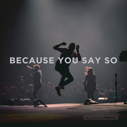 Because You Say So Cover Art Blurred Background