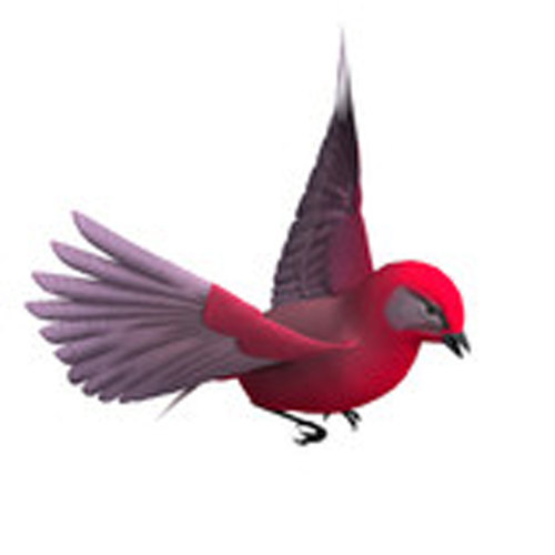 3D Bird Tone Cover Art Blurred Background