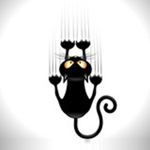 Angry Cat Cover Art Blurred Background