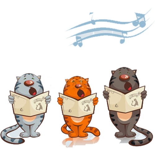 Cute Cat Song Cover Art Blurred Background