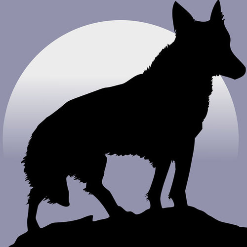 Wolf Whistle Man Cover Art Blurred Background