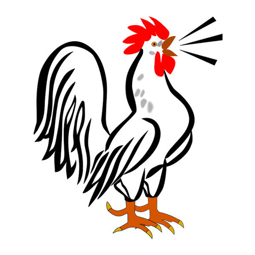 Rooster Crows Four Times Cover Art Blurred Background