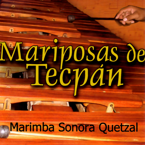 Mariposas de Tecpán Cover Art Blurred Background