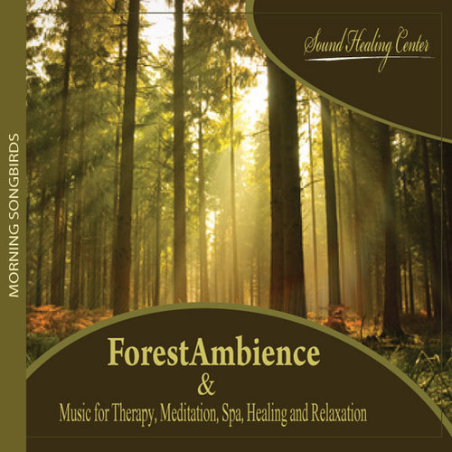 Forest Ambience (Music for Therapy, Meditation, Spa, Healing and Relaxation - Morning Songbirds) Cover Art Blurred Background