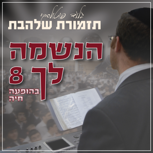 שמחת בית השואבה Cover Art Blurred Background