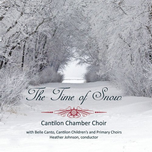 The Time of Snow Cover Art Blurred Background