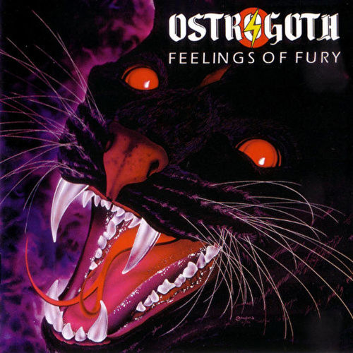 Feelings of Fury Cover Art Blurred Background