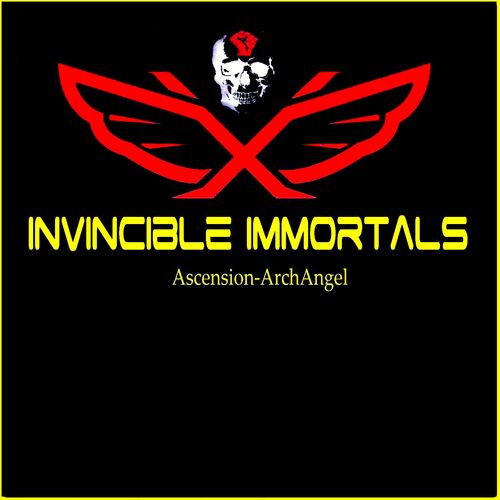 Invincible Immortals Cover Art Blurred Background