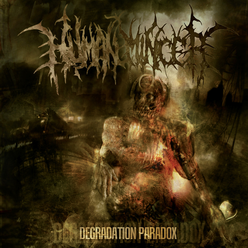 Degradation Paradox Cover Art Blurred Background