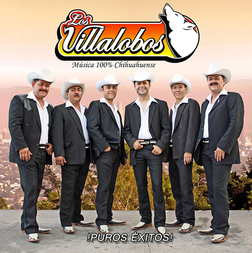 !Puros Éxitos! Cover Art Blurred Background