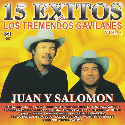 15 Exitos Con Los Tremendos Gavilanes, vol. 1 Cover Art Blurred Background