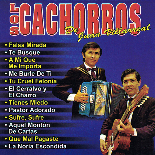 Falsa Mirada Cover Art Blurred Background