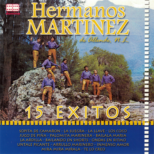 15 Exitos Cover Art Blurred Background