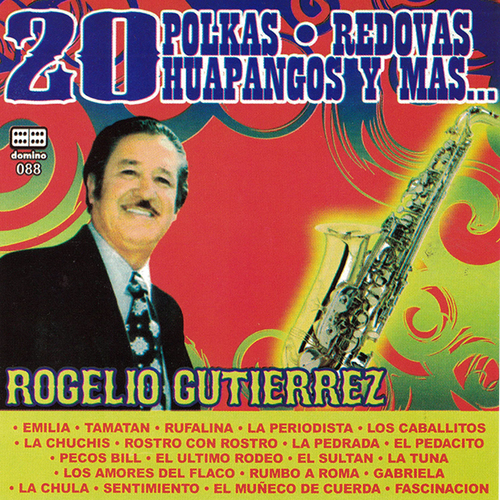 20 Polkas Redovas Huapangos y Más Cover Art Blurred Background