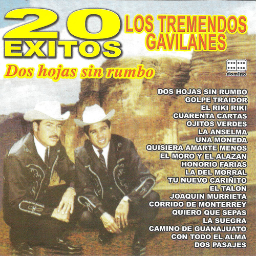 20 éxitos dos hojas sin rumbo Cover Art Blurred Background
