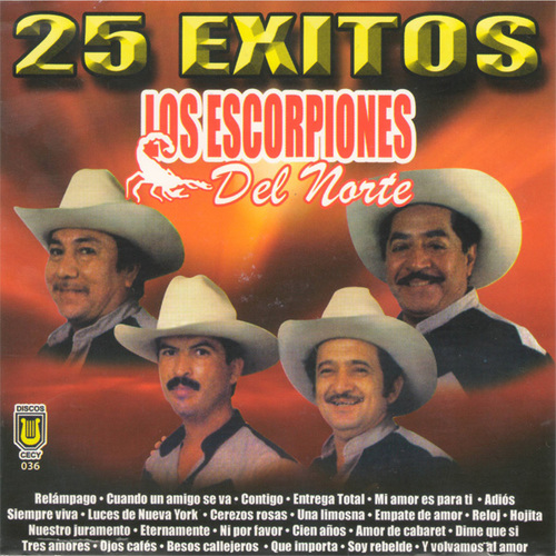 25 Exitos de Los Escorpiones del Norte Cover Art Blurred Background