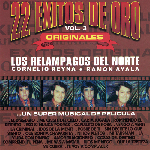 22 Éxitos de Oro, vol. 3 Cover Art Blurred Background