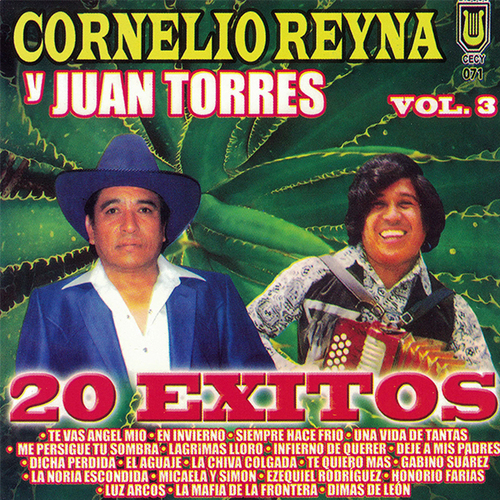 20 Exitos, vol. 3 Cover Art Blurred Background