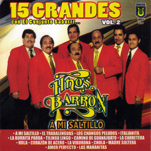 15 Grandes Con el Conjunto Saborrr... Cover Art Blurred Background