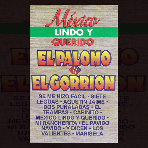 Mexico Lindo y Querido Cover Art Blurred Background