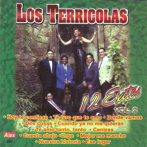 12 exitos, vol. 2 Cover Art Blurred Background