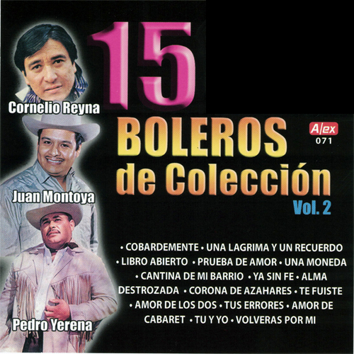 15 Boleros de Colección, vol. 2 Cover Art Blurred Background