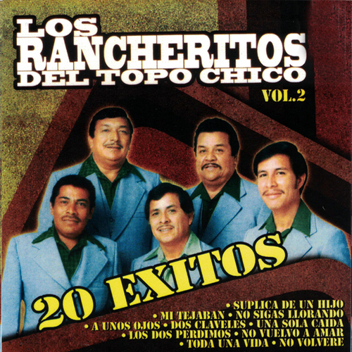 20 Exitos, vol. 2 Cover Art Blurred Background
