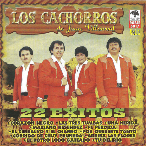 22 Exitos de los Cachorros de Juan Villarreal Cover Art Blurred Background