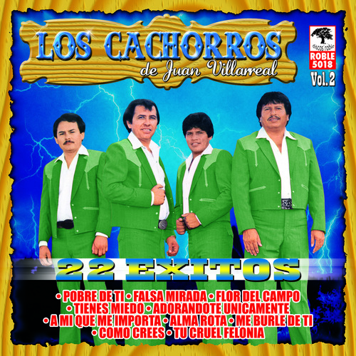 22 Exitos de Juan Villarreal, vol. 2 Cover Art Blurred Background