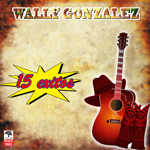 15 Exitos Cover Art Blurred Background