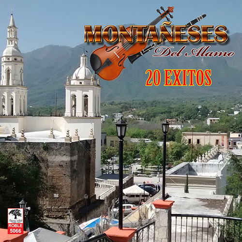 20 Exitos Cover Art Blurred Background