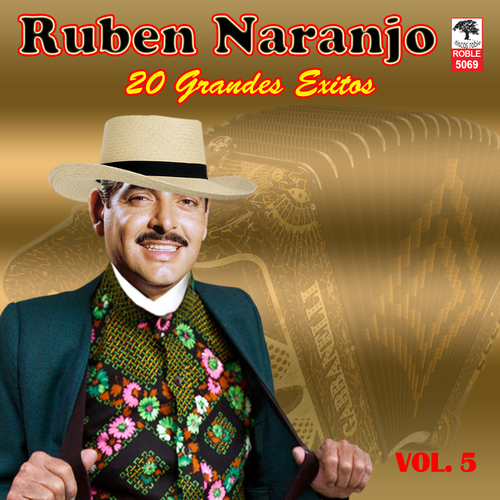 20 Grandes Exitos Cover Art Blurred Background