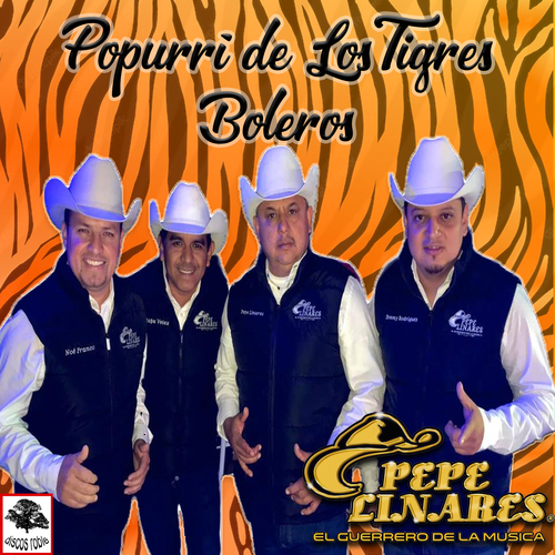 Popurri de los Tigres y Boleros Cover Art Blurred Background