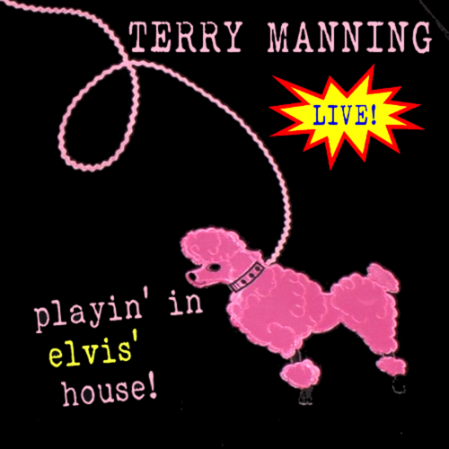 Playin' In Elvis' House (Live) Cover Art Blurred Background