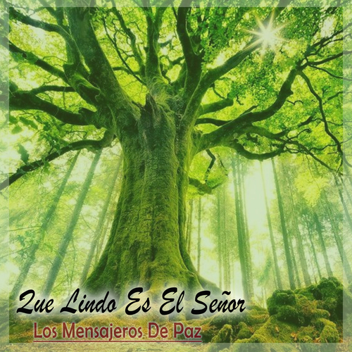Que Lindo Es El Señor Cover Art Blurred Background