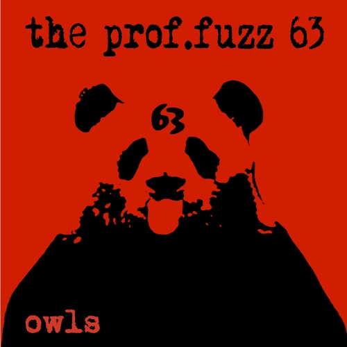 Owls Cover Art Blurred Background