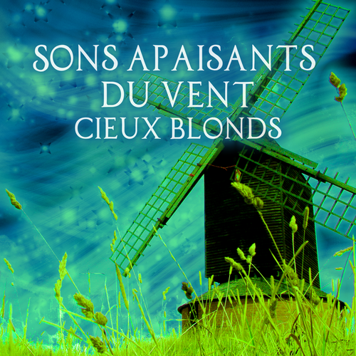 Sons apaisants du vent Cover Art Blurred Background