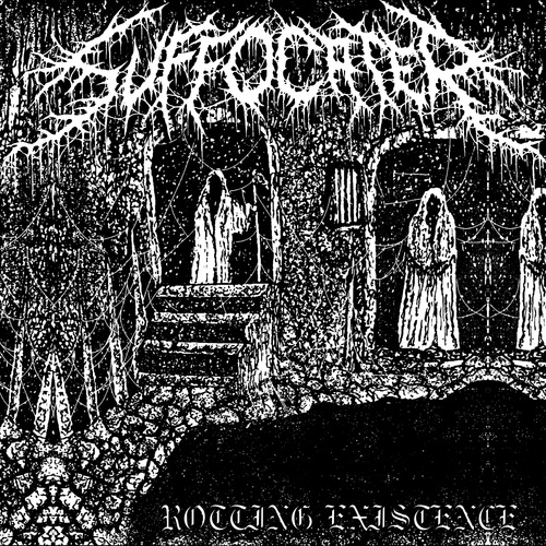 Rotting Existence Cover Art Blurred Background