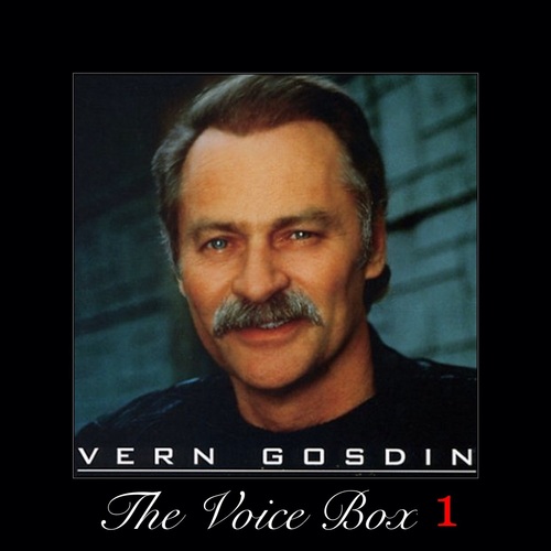 The Voice Box, Vol. 1 Cover Art Blurred Background