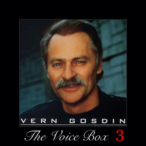 The Voice Box, Vol. 3 Cover Art Blurred Background