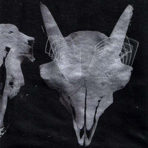 Privacy from God Cover Art Blurred Background