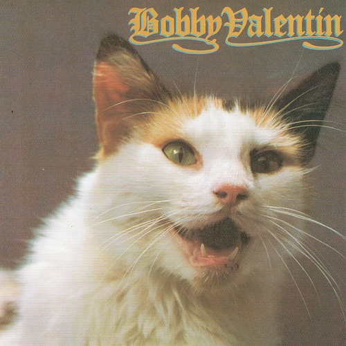 Bobby Valentin Cover Art Blurred Background