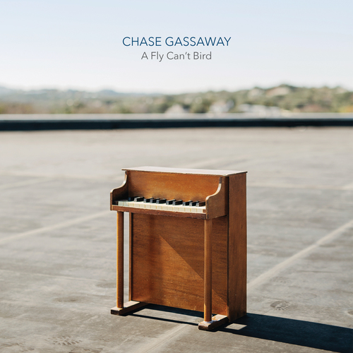 A Fly Can't Bird Cover Art Blurred Background