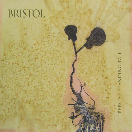 Trees Die Standing Tall Cover Art Blurred Background